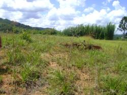 Área para Venda em Mairiporã - 5