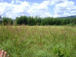 Área para Venda em Mairiporã - 4