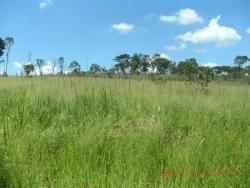 #0016 - Área para Venda em Atibaia - SP - 3