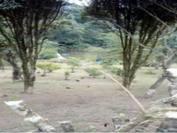 Chácara para Venda em Arujá - 5