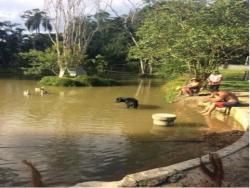 Venda em Fontes - Arujá