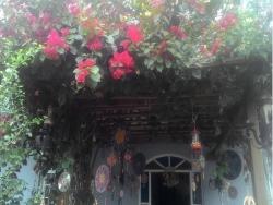 Casa de Praia para Venda em Itanhaém - 5