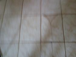 Galpão para Venda em Bom Jesus dos Perdões - 5