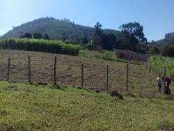 Área para Venda em Bragança Paulista - 4