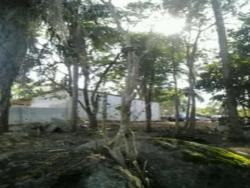 Terreno para Venda em Mairiporã - 5