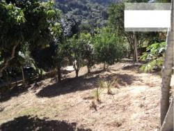 Chácara para Venda em Mairiporã - 5