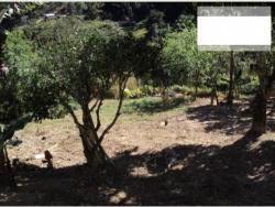 Chácara para Venda em Mairiporã - 4