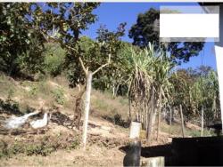 #1186 - Chácara para Venda em Mairiporã - SP - 3