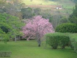 #1856 - Chácara para Venda em Bom Jesus dos Perdões - SP - 3