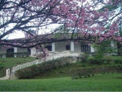 Venda em Cachoeira - Bom Jesus dos Perdões