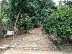 #0085 - Chácara para Venda em Mairiporã - SP - 3