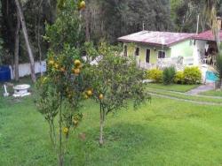 Chácara para Venda em Mairiporã - 4