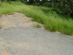 Área para Incorporação para Venda em Mairiporã - 4