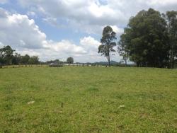 Área para Venda em Vargem - 4