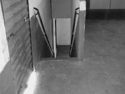 Galpão para Venda em Mairiporã - 4