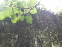 Casa em condomínio para Venda em Atibaia - 5