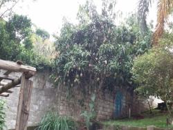 Casa em condomínio para Venda em Atibaia - 4