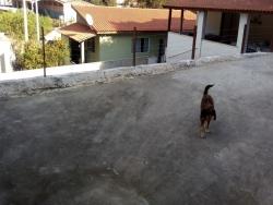 Chácara para Venda em Mairiporã - 3