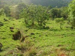 Terreno para Venda em Mairiporã - 3