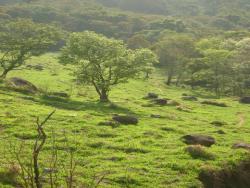 Terreno para Venda em Mairiporã - 5