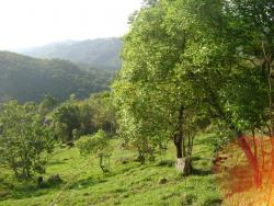 Terreno para Venda em Mairiporã - 4