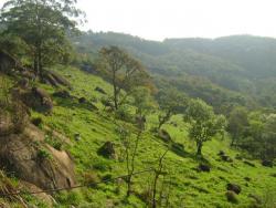Terreno para Venda em Mairiporã - 2
