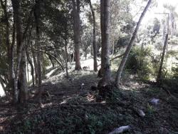 Área para Venda em Atibaia - 5