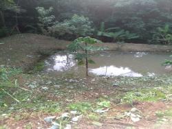 Chácara para Venda em Atibaia - 4