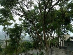 Terreno para Venda em Atibaia - 3