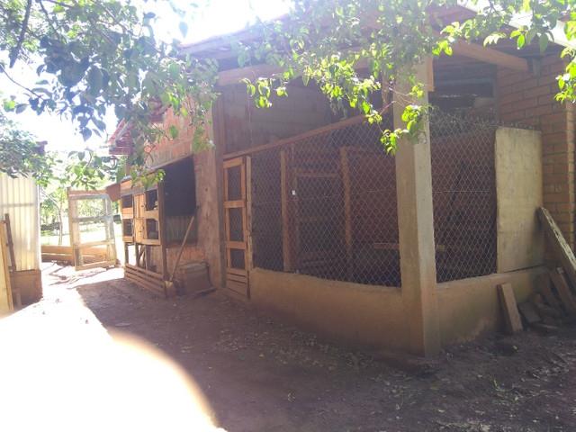  para  em  - 5