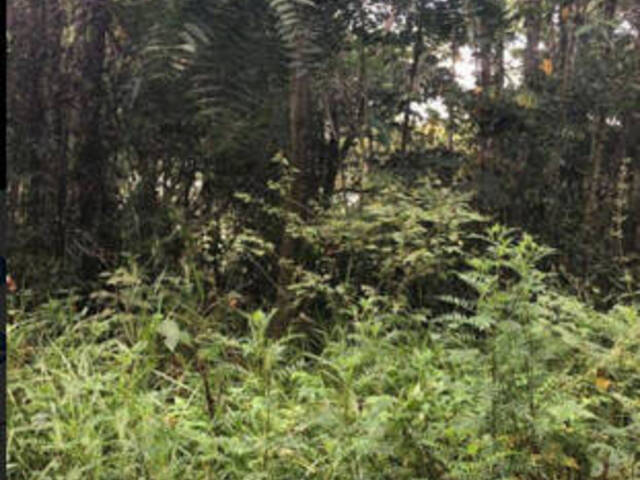 Terreno para Venda em Mairiporã - 4