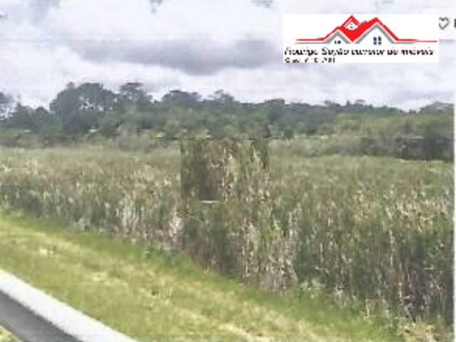 Área para Venda em Bom Jesus dos Perdões - 4