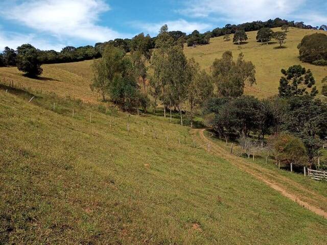 #1928 - Fazenda para Venda em Camanducaia - MG - 2