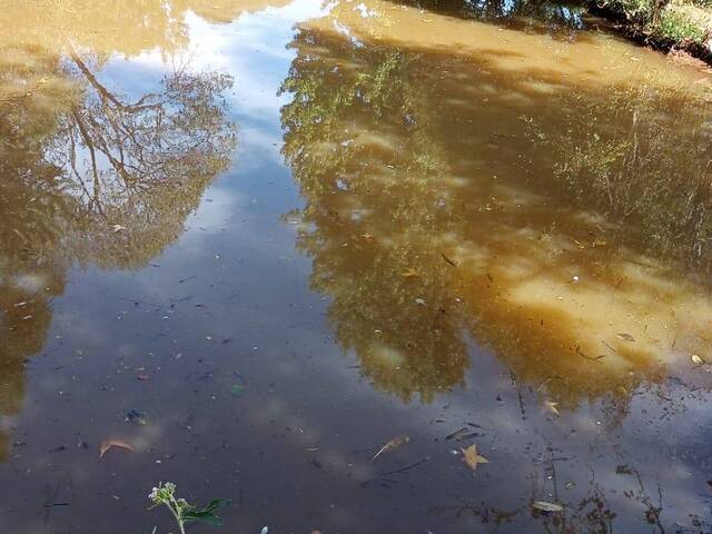 #1928 - Fazenda para Venda em Camanducaia - MG - 3