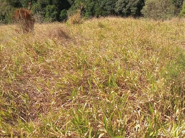 #1912 - Terreno para Venda em Mairiporã - SP