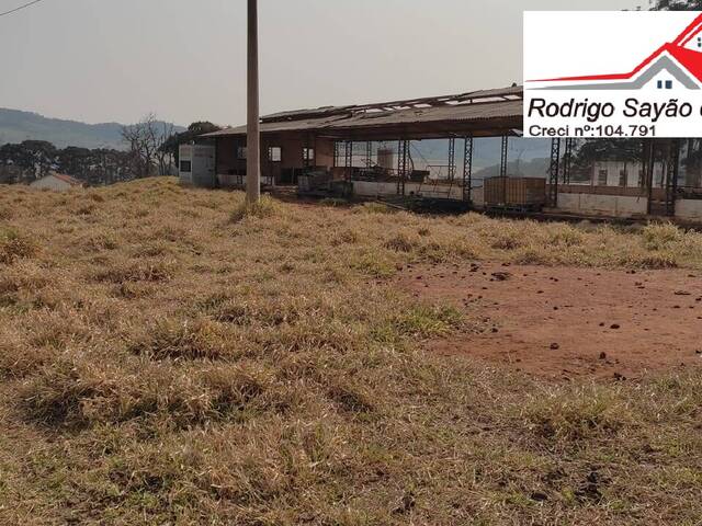 Sítio para Venda em Atibaia - 5