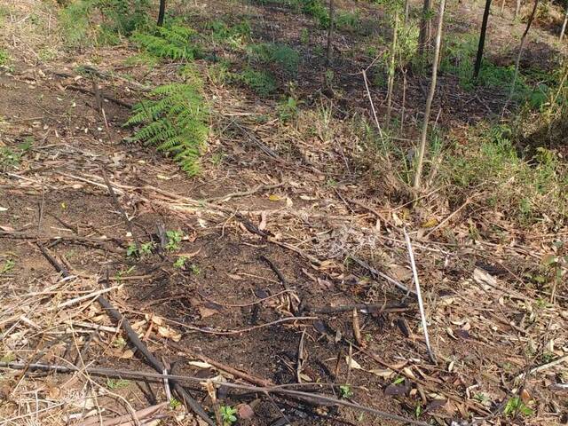 Sítio para Venda em Mairiporã - 5