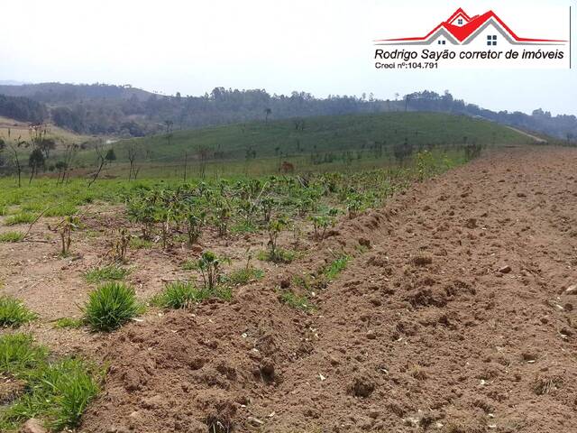 Sítio para Venda em Atibaia - 5