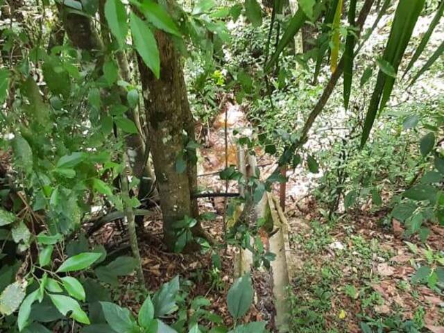 Chácara para Venda em Mairiporã - 4
