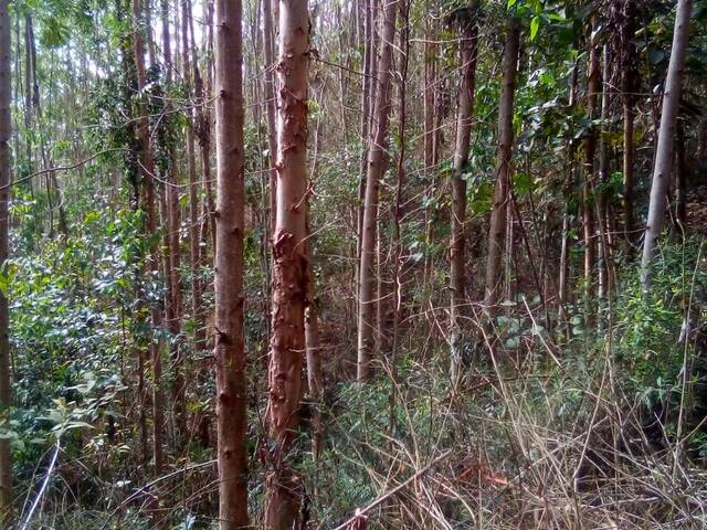 Área para Venda em Jacareí - 4