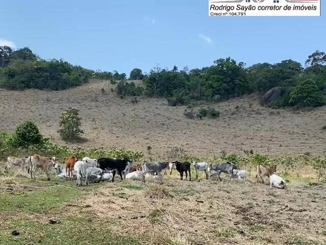 #2159 - Fazenda para Venda em Joanópolis - SP - 1