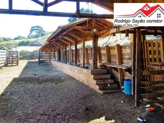 Fazenda para Venda em Cambuí - 5