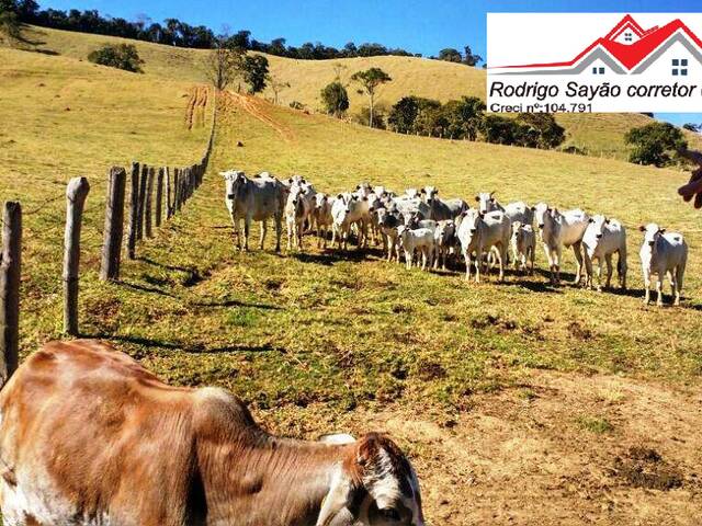 #1672 - Fazenda para Venda em Cambuí - MG - 1