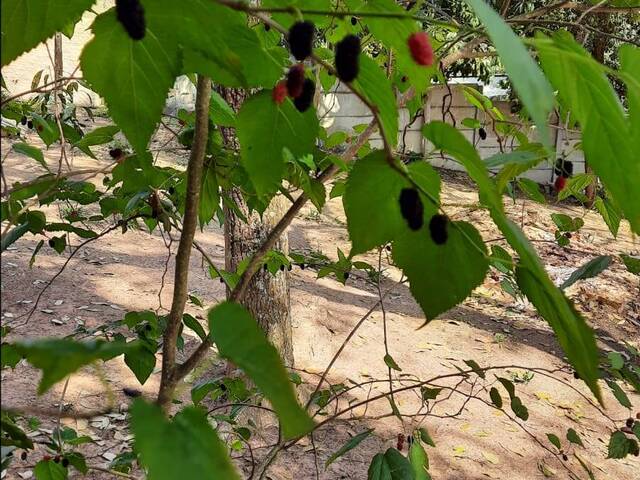 Chácara para Venda em Atibaia - 5