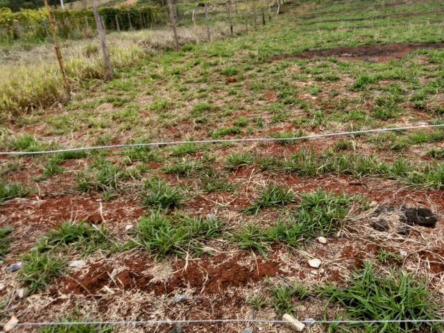 Terreno para Venda em Piracaia - 4