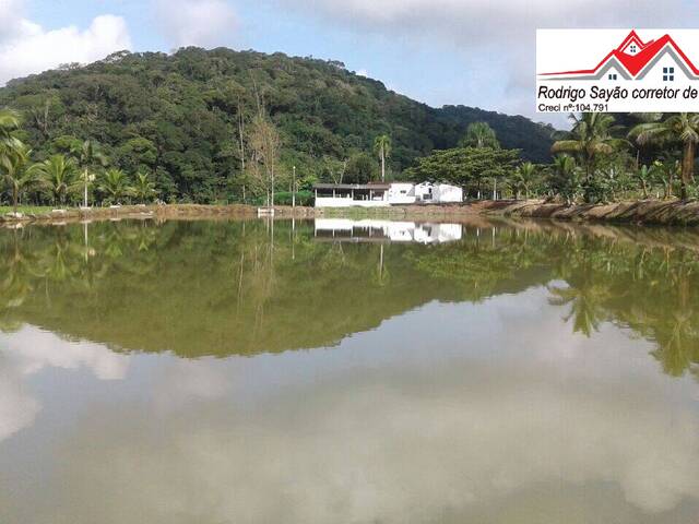 #1633 - Fazenda para Venda em Registro - SP - 1