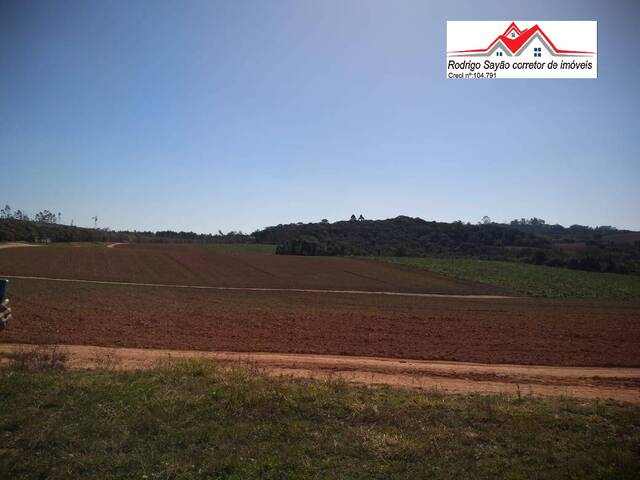 #2286 - Fazenda para Venda em Toledo - MG - 3