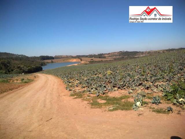 #2286 - Fazenda para Venda em Toledo - MG - 2