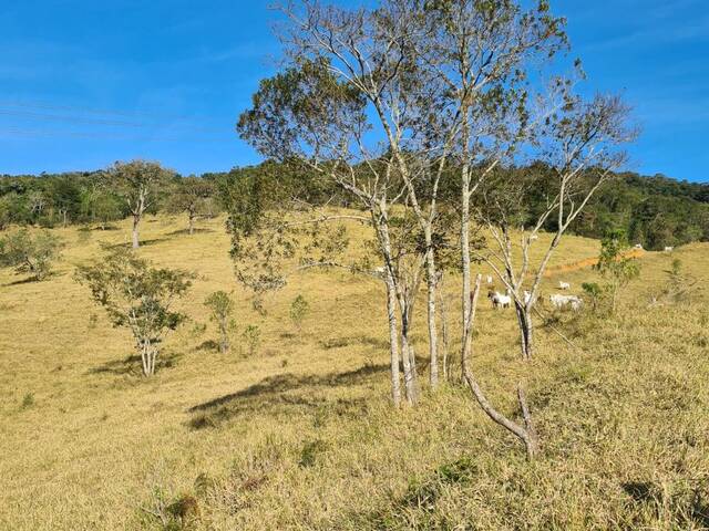 #0026 - Fazenda para Venda em Igaratá - SP - 2