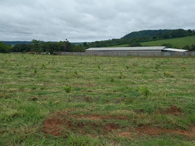 #2381 - Fazenda para Venda em Ribeirão Bonito - SP - 2